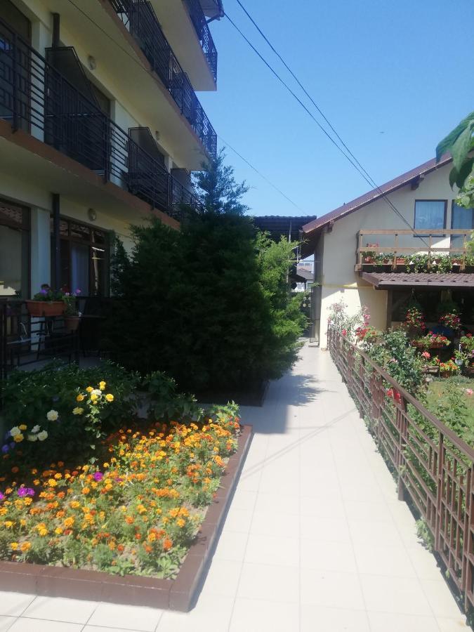 Villa Pescarus Costinești Kültér fotó